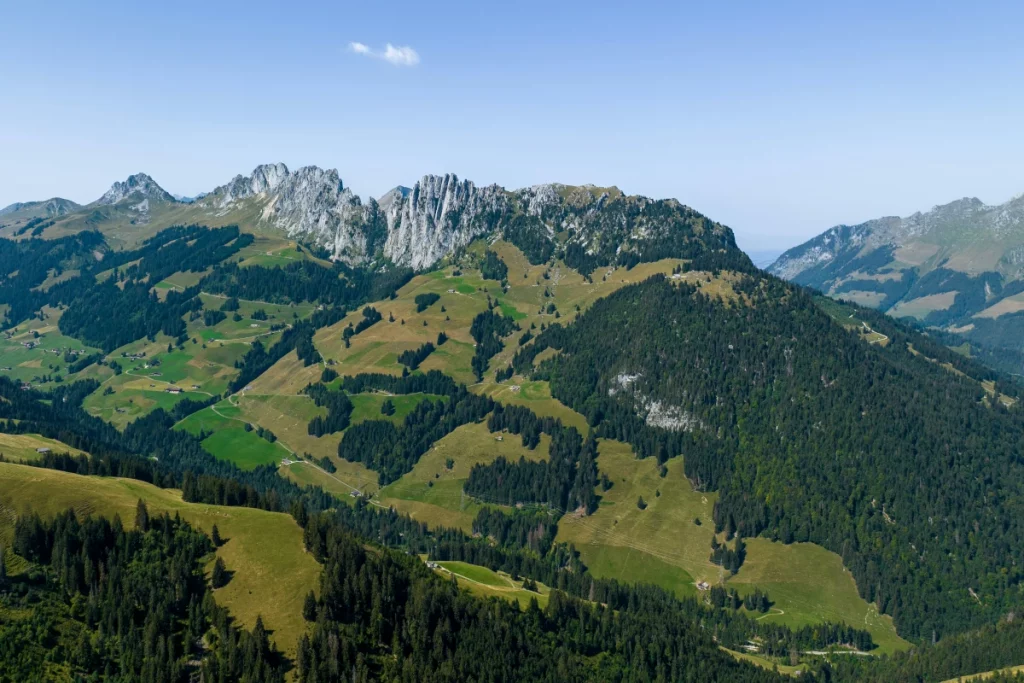 Juraschaf Schwarzbachhof Schwarzbachhof - Juraschafe in Sachsen - Zucht Ursprung des Juraschaf bevor es über Östereich nach Sachsen auf den Schwarzbachhof gekommen ist.